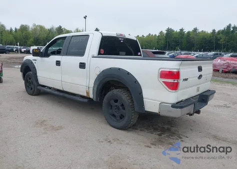 2009 Ford F-150 Xl/Xlt z USA, uszkodzony, nr VIN 1FTRW14829FA40294